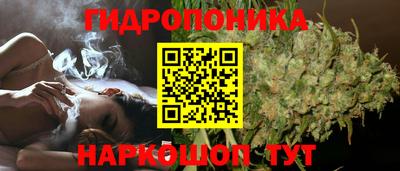 дурь Заводоуковск