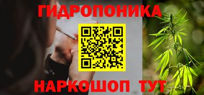 PSILOCYBIN Заволжье